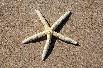 国游《叛逆神魂》steam试玩上线 剧情向视觉系RPG